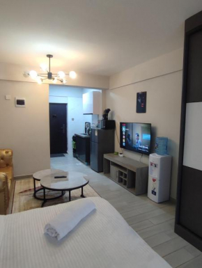 Super Studio Kileleshwa with GYM,balcony & Netflix
